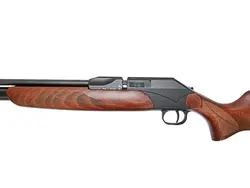 تفنگ پی سی پی دیانا پی 1000