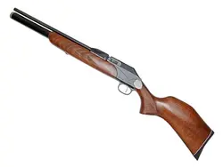 تفنگ پی سی پی دیانا پی 1000