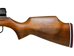 تفنگ پی سی پی وبلی ریدر 10