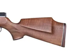 تفنگ پی سی پی وایرخ 100 اس کی اف اس بی