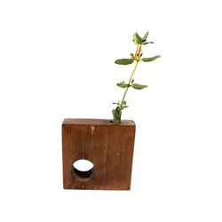 گلدان چوبی بشر دار