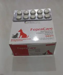 قرص انگل سگ و گربه فپرا کر(fepra care) ادواکر