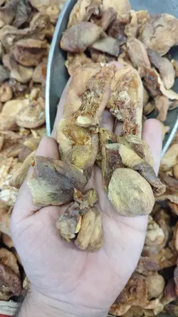 برگه زردآلو شکرپاره ( بسته بندی 500 گرمی)