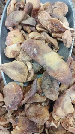 برگه زردآلو شکرپاره ( بسته بندی 500 گرمی)