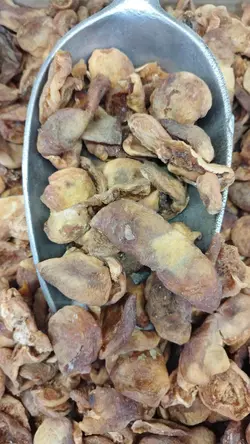 برگه زردآلو شکرپاره ( بسته بندی 500 گرمی)