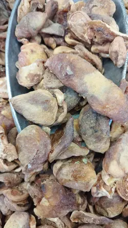 برگه زردآلو شکرپاره ( بسته بندی 500 گرمی)