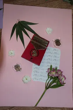 کالیمبا هوگو یونیکورن
