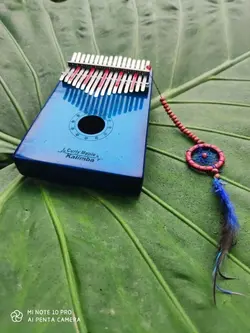 کالیمبا جکو مدل k17mc-bl