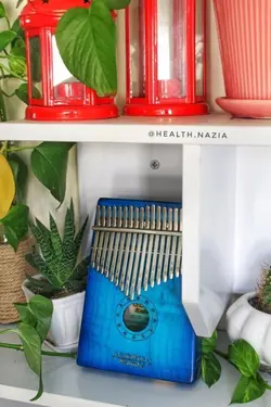 کالیمبا جکو مدل k17mc-bl