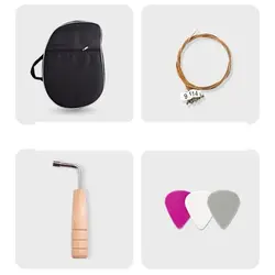 چنگ رومی برند سگا 21 تار رنگ آبی و قهوه ای