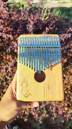 کالیمبا کالی‌مون طرح گربه