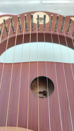 چنگ رومی 16 نت طرح تدی برند بلوط