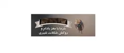 خرما با مغز بادام و روکش شکلات تلخ شیگوار 1 کیلویی