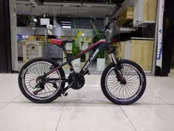 دوچرخه سایز ۲۰ دنده ای کلاجدار تنه آلومینیوم Polaris