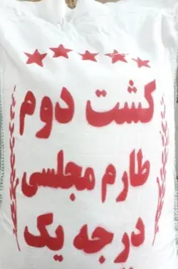 برنج کشت دوم فریدون کنار 10کیلویی