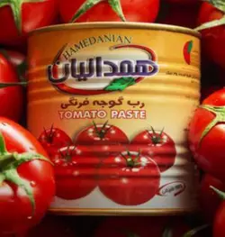 رب گوجه فرنگی همدانیان کلیددار 800گرمی (12 عددی)