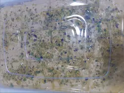 حلوا شکری دیسی 7 کیلویی عقاب طلایی