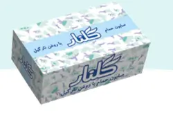 صابون حمام گلنار بسته 6 عددی