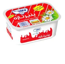 پنیر پگاه غنی شده 400 گرم - ( 24 عددی )