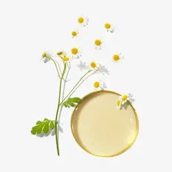 کرم پا نرم کننده روزانه فیت آپFeet Up Comfort Nourishing Foot Cream