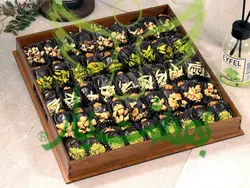 خرما گردویی آجیلی کد 3