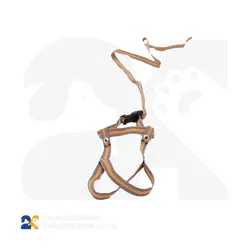 قلاده کوچک و بزرگ پرندگان