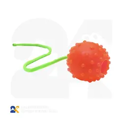 اسباب بازی سگ و گربه مدل توپ آموزشی با بند آویز سایز کوچک