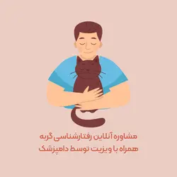 مشاوره آنلاین رفتارشناسی گربه همراه با ویزیت توسط دامپزشک