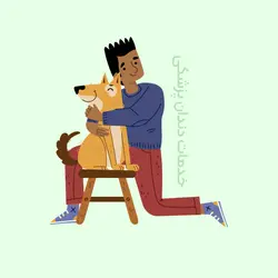 پکیج خدمات دندانپزشکی