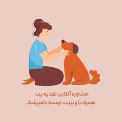 مشاوره آنلاین تغذیه پت همراه با ویزیت توسط دامپزشک