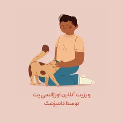 ویزیت آنلاین اورژانسی پت توسط دامپزشک