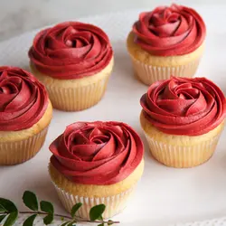 رنگ خوراکی ژله ای قرمز قرمز kopykake کپی کیک 25 گرمی