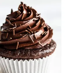 رنگ خوراکی ژله ای شکلاتی kopykake کپی کیک 100 گرمی