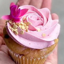 رنگ ژله ای خوراکی صورتی kopykake کپی کیک 100 گرمی