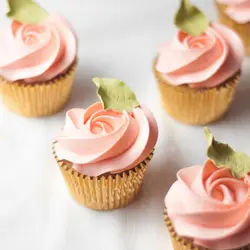 رنگ ژله ای خوراکی گلبهی kopykake کپی کیک 100 گرمی