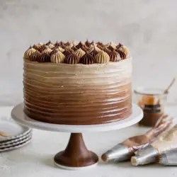 رنگ خوراکی ژله ای خاکی kopykake کپی کیک 100 گرمی