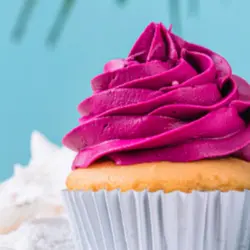 رنگ خوراکی ژله ای سرخابی kopykake کپی کیک 35 گرمی