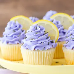 رنگ خوراکی ژله ای یاسی kopykake کپی کیک 35 گرمی