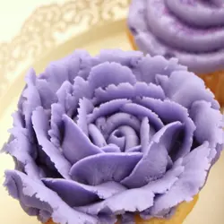 رنگ خوراکی ژله ای یاسی kopykake کپی کیک 35 گرمی