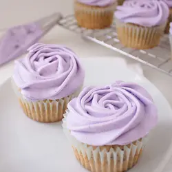 رنگ خوراکی ژله ای یاسی kopykake کپی کیک 35 گرمی