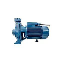 پمپ 2 اسب 2 اینچ مارگو مدل CH200