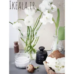 شمع ایکیا lugga کد90259212 معطر و دردار