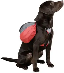 کوله پشتی سگ کربل Kerbl Dog Rucksack سایز متوسط