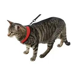 قلاده کتفی گربه همراه با لید کربل Kerbl Active Cat Harness With Leash