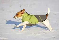 کاپشن تدی سگ کربل Kerbl Outdoor Dog Coat Vancouver