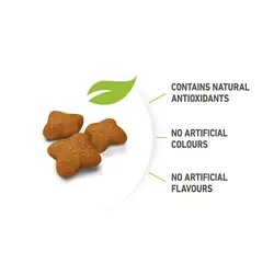 غذای خشک بچه گربه عقیم شده رویال کنین Royal Canin Kitten Sterilised وزن 2 کیلوگرم