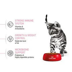 غذای خشک بچه گربه عقیم شده رویال کنین Royal Canin Kitten Sterilised وزن 2 کیلوگرم