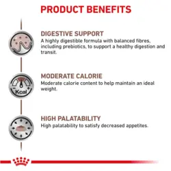 پوچ گربه رویال کنین مدل Gastrointestinal وزن ۸۵ گرم