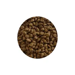 غذای خشک گربه رفلکس پلاس مدل Choosy with Salmon وزن 1.5 کیلوگرم