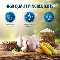 غذای خشک گربه رفلکس پلاس مدل Adult Chicken وزن 1.5 کیلوگرم